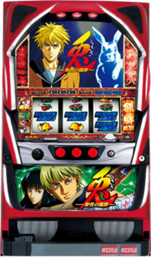 兔-野性的鬥牌-  |SLOT|SLOT5號機|SLOT5號機總覽